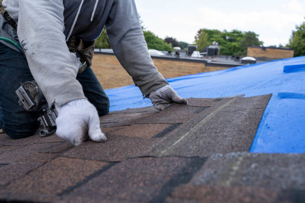 Quick and Trustworthy Emergency Roof Repair Services in Clearwater, SC